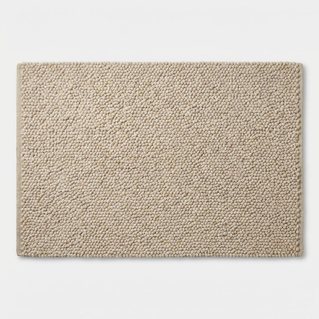 Chunky loop textured neutral area rug with braided edge, soft cushioned underfoot feel, modern organic cozy floor accent