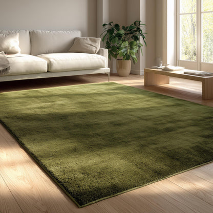 Plush olive green area rug on light wood flooring in a modern living room with beige sofa and potted plant – forest green home décor carpet.