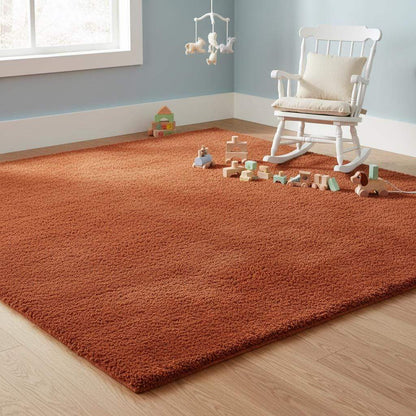 Rust shag rug in cozy living room with vintage high pile and retro orange tones